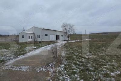 Spațiu comercial, de 180 mp, în Central - 5