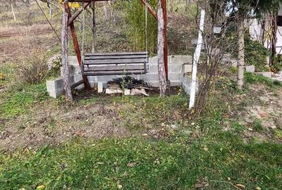 Casă cu 1 camere cu Teren 1100 Mp în Viișoara - 1