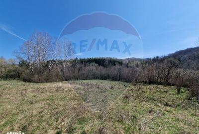 Teren de 9428 mp, în Mărgineni - 6