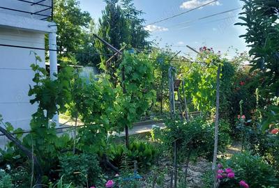 Casă cu 6 camere cu Teren 2000 Mp în Cataloi - 2