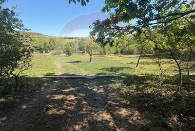 Teren agricol extravilan de 6322 mp, în Central - 10
