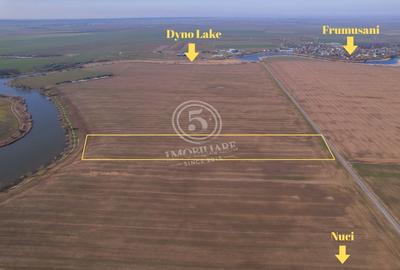 Teren Construcții intravilan de 17500 mp, în Frumușani - 3