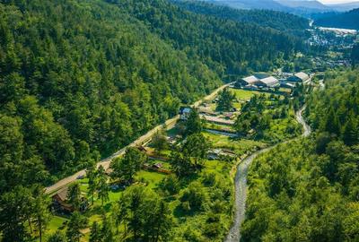 Teren Construcții intravilan de 1265 mp, în Bunloc - 3