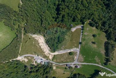 Teren de 15345 mp, în Șimon - 8