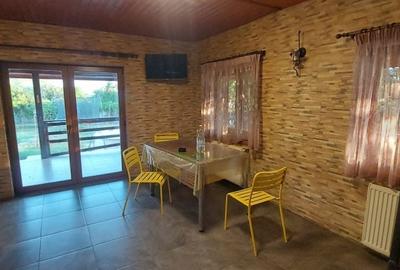 Casa de vanzare Tancabesti, com Snagov | Oaza de liniste | 1200 mp - 12