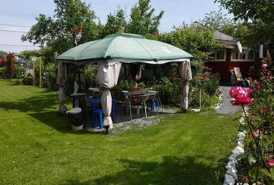 Casă cu 11 camere cu Teren 2200 Mp în Crișan - 10