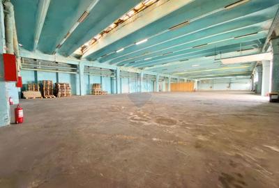 Spațiu industrial, de 6,132 mp, în Aradul Nou - 24