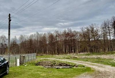 Casă cu 4 camere cu Teren 3100 Mp în Câmpuri - 5
