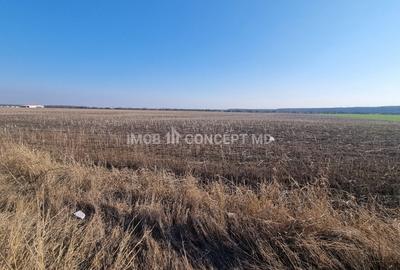 Vanzare Teren Extravilan 11000 mp, in Aricestii Rahtivani, Jud Prahova - 4