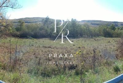 Teren agricol extravilan de 2250 mp, în Vultureni - 6