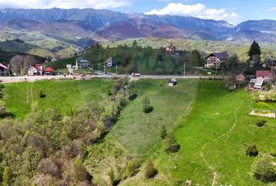 Teren de 2847 mp, în Moieciu