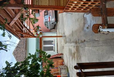 Casa singur in curte - 10