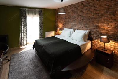 De vanzare Boutique Hotel, locatie functionala, zona Cheile Nerei - 9