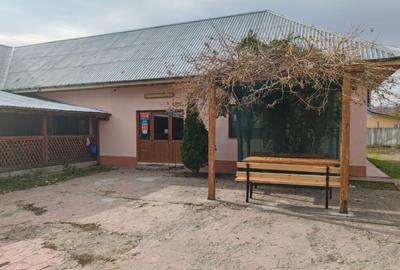 Spatiu comercial Sat Otetoaia, comuna Lunca Banului, Husi, - 1