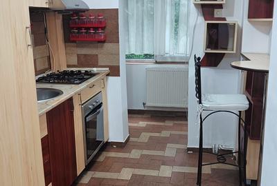 Apartament 2 camere Podu de Fier - Prof. Paul - 7