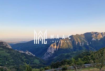 Teren de 117000 mp, în Râmeț - 5