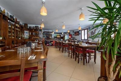 Langa Castelul Bran: Pensiune + restaurant + transfer afacere activa - 2