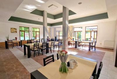 Domeniu Imobiliar de Elita: 14.000 mp Teren, Pensiune, SPA ?i Centru Evenimente - 10