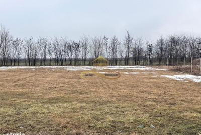 Spațiu comercial, în Siretu - 1