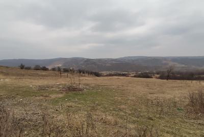 Vănd Teren Extravilan Dănulești, Jud. Buzău 9700 mp - 1