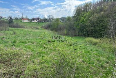 Teren de 3415 mp, în Luncoiu de Sus - 4