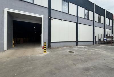 De Vanzare Hala Industrială Modernă - Oportunitate Unică în Sector 3 - 10