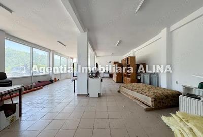 Spatiu comercial spre iesire din Loc. Deva (spre Mintia) zona Izvorul Decebal, Jud. Hunedoara. - 12
