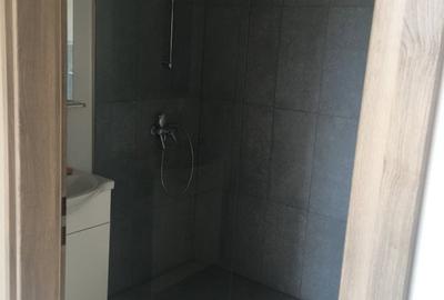 Spatiu Comercial , Blv Ttansilvaniei . - 6