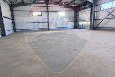 Hale noi de inchiriat Domnesti - putere instalata pana la 600kva - 11