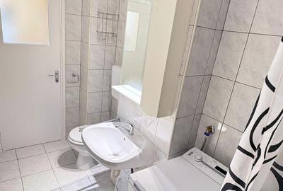 Garsoniera Ghica Tei Teiul Doamnei - 6