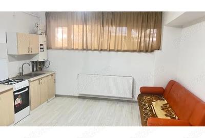 Apartament cu 2 camere nedecomandat în Dâmbu Pietros - 4
