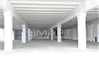 Hala industriala acces TIR, 1000mp Cisnadie - 5