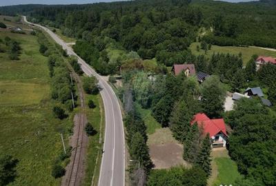 Casă cu 4 camere cu Teren 1300 Mp în Paltin - 14