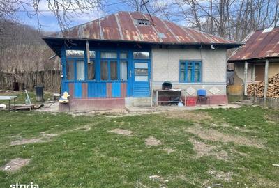 Casă cu 3 camere cu Teren 2700 Mp în Măgura - 1