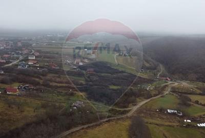 Teren extravilan de 3826 mp, în Moldovenești - 6