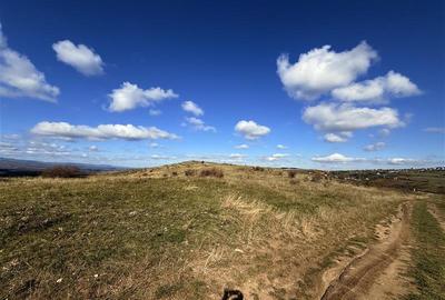 Comision 0% Oportunitate investitie teren extravilan  Salicea - 4