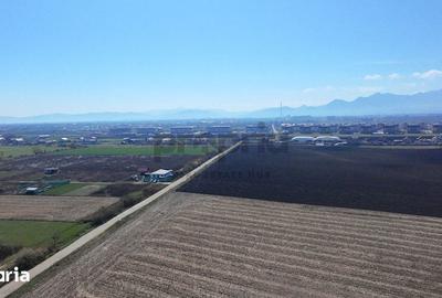 Teren de 6400 mp, în Stupini - 3