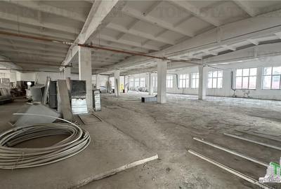 Hala productie/depozitare 3130 mp in zona Pallady/Industriilor Hala productie/depozitare 3130 mp in zona Pallady/Industriilor - 1