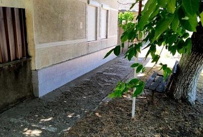 Casă + Curte + Teren arabil generos, Nerău, Teremia Mare, 1596 mp, locuibilă ime - 4