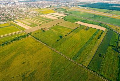 50 ha teren compact în Bujac - 4
