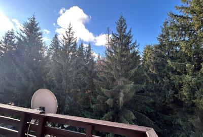 Pensiune de vanzare in statiunea Paltinis,Sibiu- Afacere la cheie - 16