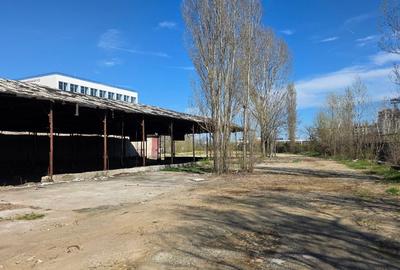 Teren Construcții intravilan de 5262 mp, în Theodor Pallady - 6