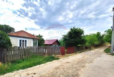 Casă cu 2 camere cu Teren 5361 Mp în Homești - 4