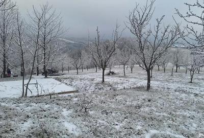 Teren de 5499 mp, în Poiana Tășad - 1