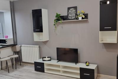 Garsonieră semidecomandată, mobilată în Costin Georgian - 11