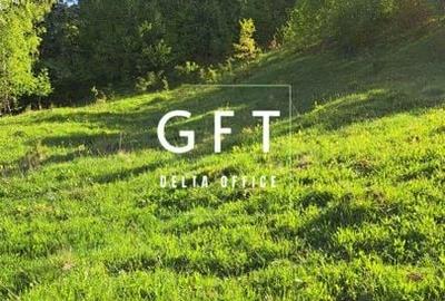 Teren extravilan de vanzare, Bistrita Bargaului- 10 minute de Colibita - 6