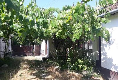 Casă cu 4 camere cu Teren 1131 Mp în Uivar - 8