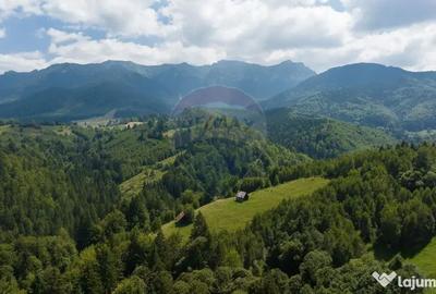 Teren de 15345 mp, în Șimon - 10
