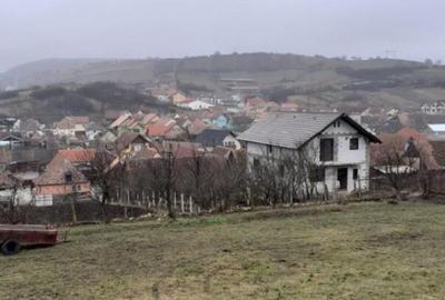 Teren de inchiriat in Sura Mare - 2