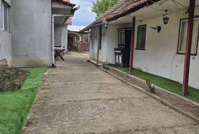 Casă cu 6 camere în Fibiș - 1